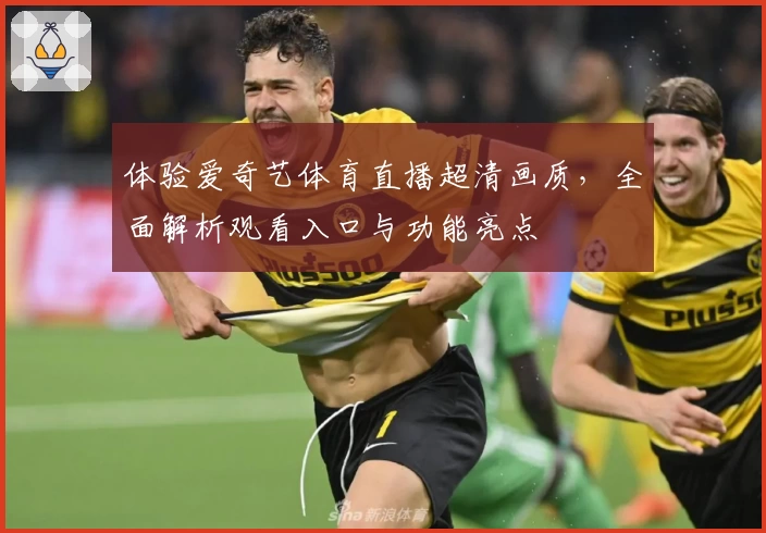 体验爱奇艺体育直播超清画质，全面解析观看入口与功能亮点