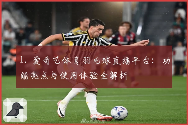 1. 爱奇艺体育羽毛球直播平台：功能亮点与使用体验全解析
